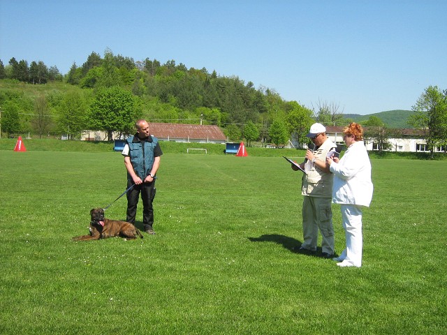 www.atibox.net * www.euroboxer.eu * www.boxergenealogia.eu